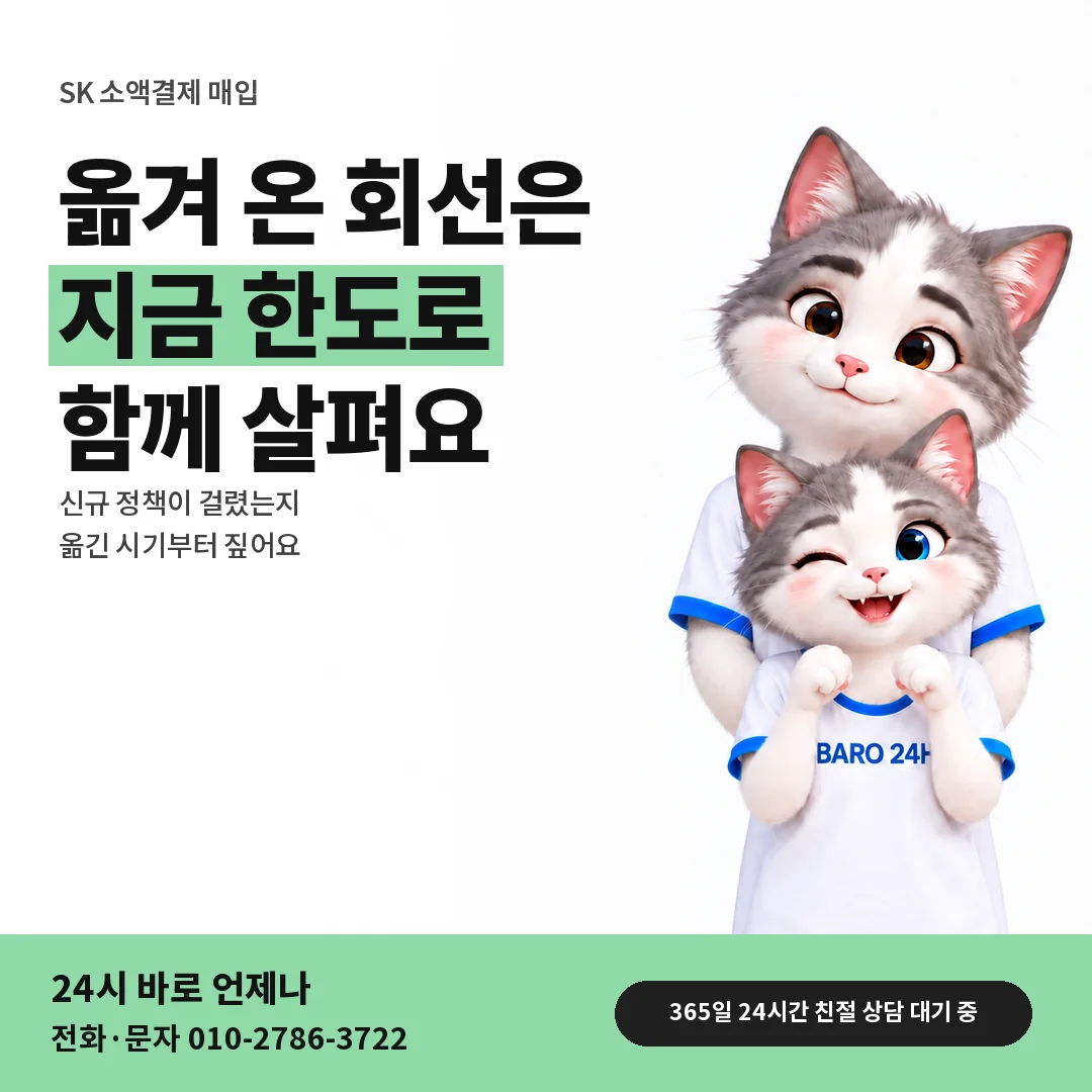 BARO 24H 티셔츠를 입은 3D 동물 캐릭터 옆에 「SK 번호이동 뒤 한도」 제목을 얹은 안내 카드